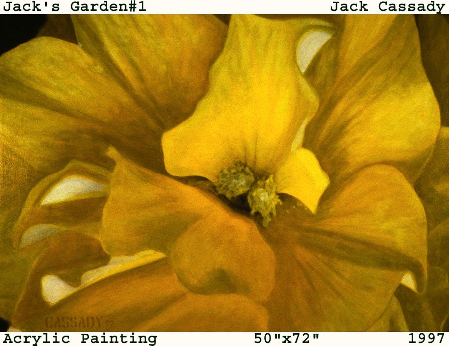 JACK’S GARDEN gallery thumbnail